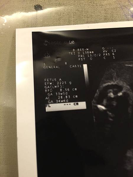 21079243614_0e13b00aec_o 21079243614_0e13b00aec_o