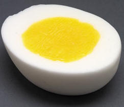 egg-8