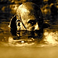riddickphoto