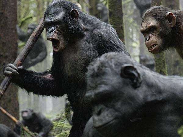 New-DawnofthePlanetoftheApes-photo8