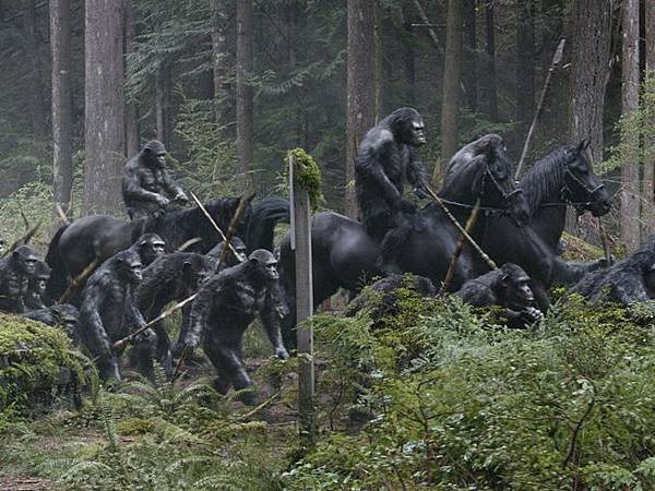 New-DawnofthePlanetoftheApes-photo7