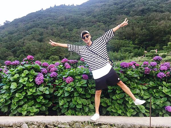 繡球花_1030.jpg 繡球花_1030.jpg