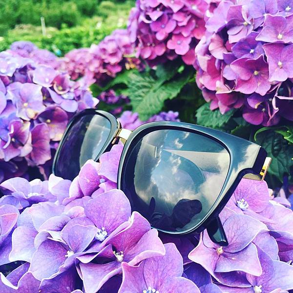 繡球花_2813.jpg 繡球花_2813.jpg