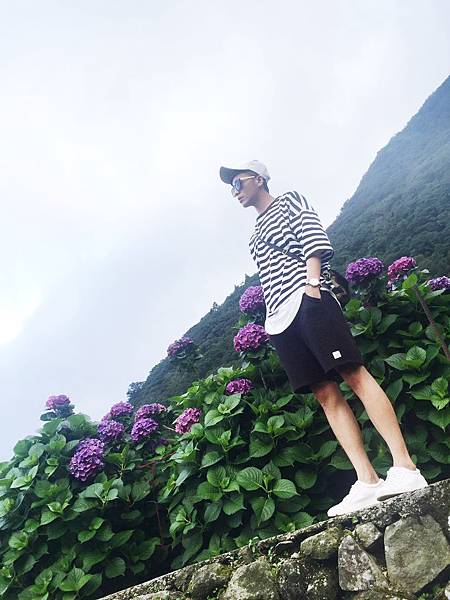 繡球花_3097.jpg 繡球花_3097.jpg