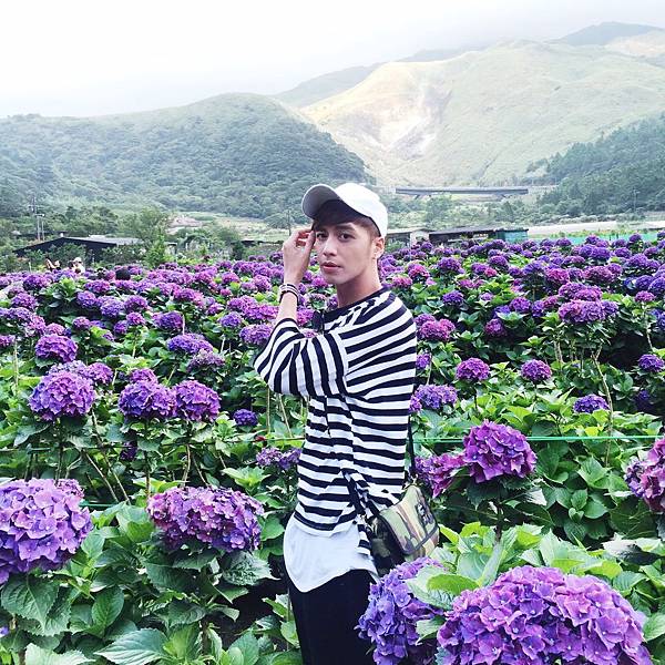 繡球花_9375.jpg 繡球花_9375.jpg