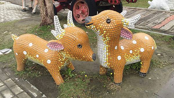 IMG_0769.jpg IMG_0769.jpg