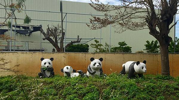 IMG_0789.jpg IMG_0789.jpg