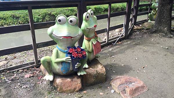 IMG_0795.jpg IMG_0795.jpg