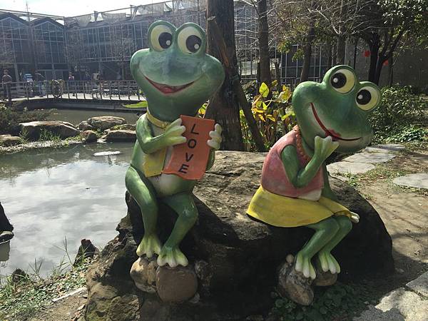 IMG_0807.jpg IMG_0807.jpg