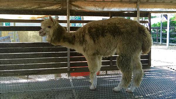 IMG_0885.jpg IMG_0885.jpg