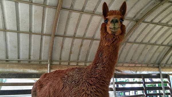 IMG_0874.jpg IMG_0874.jpg