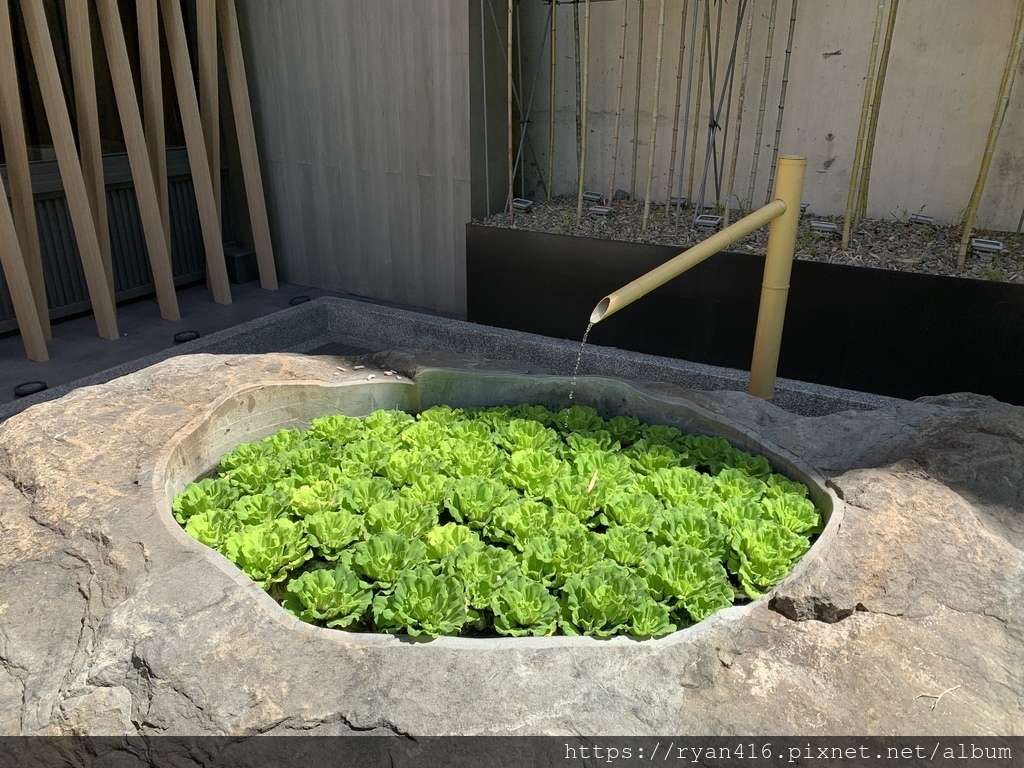 IMG_8891.JPG IMG_8891.JPG