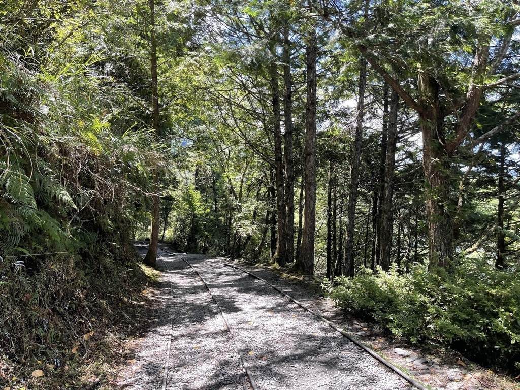 IMG_0655.jpg IMG_0655.jpg