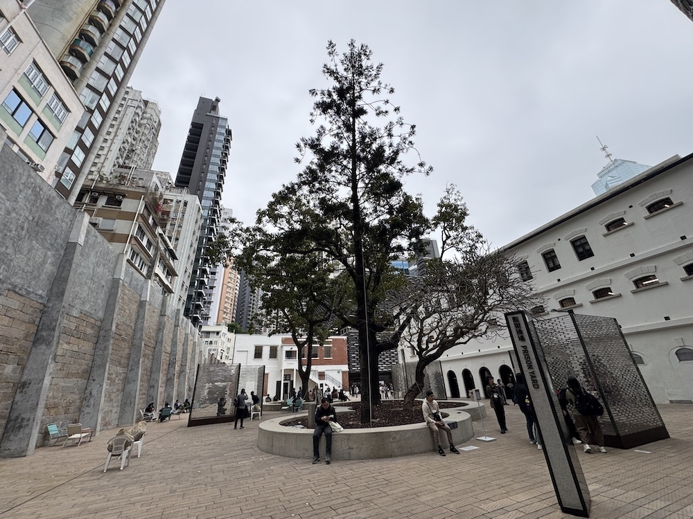 【2025香港旅遊】港簽申請、交通方式、精彩景點、必吃美食及