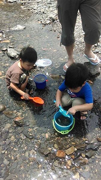 11412131_912041535521410_4701440238340270244_n.jpg 11412131_912041535521410_4701440238340270244_n.jpg