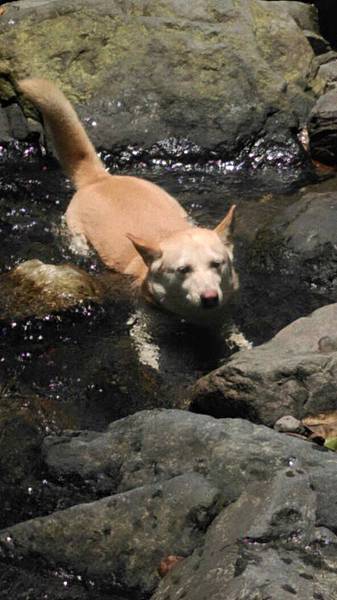 11428025_912041478854749_3902860437507135840_n.jpg 11428025_912041478854749_3902860437507135840_n.jpg