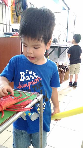 P_20150614_131722.jpg P_20150614_131722.jpg