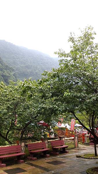 P_20150614_140409.jpg P_20150614_140409.jpg