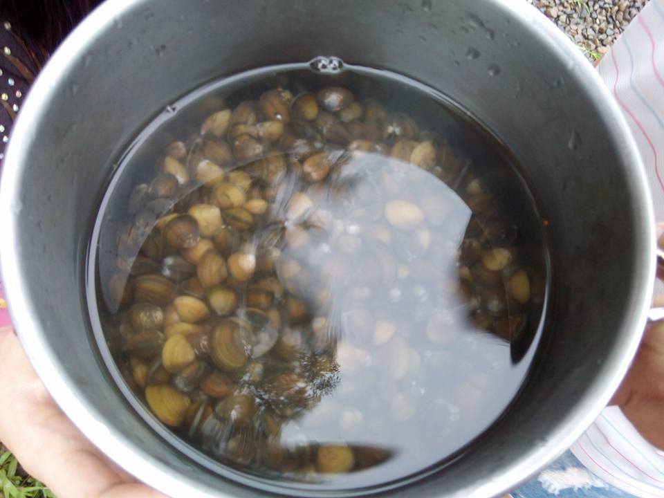 11208658_970626442956624_4232470128861468161_n.jpg 11208658_970626442956624_4232470128861468161_n.jpg