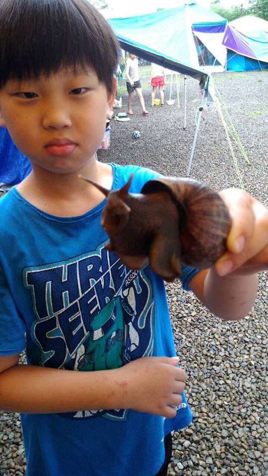 11246253_10153105427760186_6438941141641407043_n.jpg 11246253_10153105427760186_6438941141641407043_n.jpg