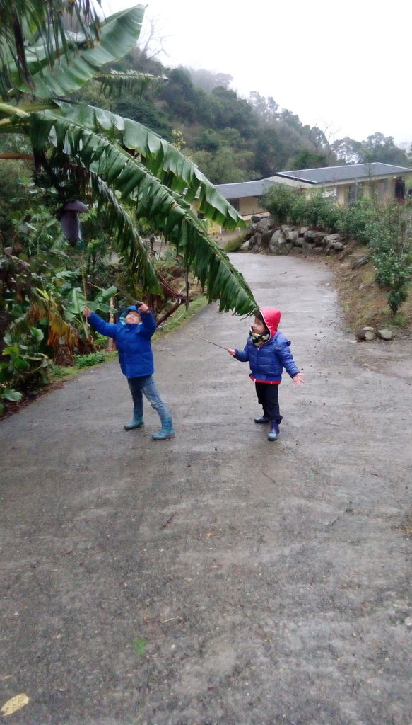 IMAG1425.jpg IMAG1425.jpg