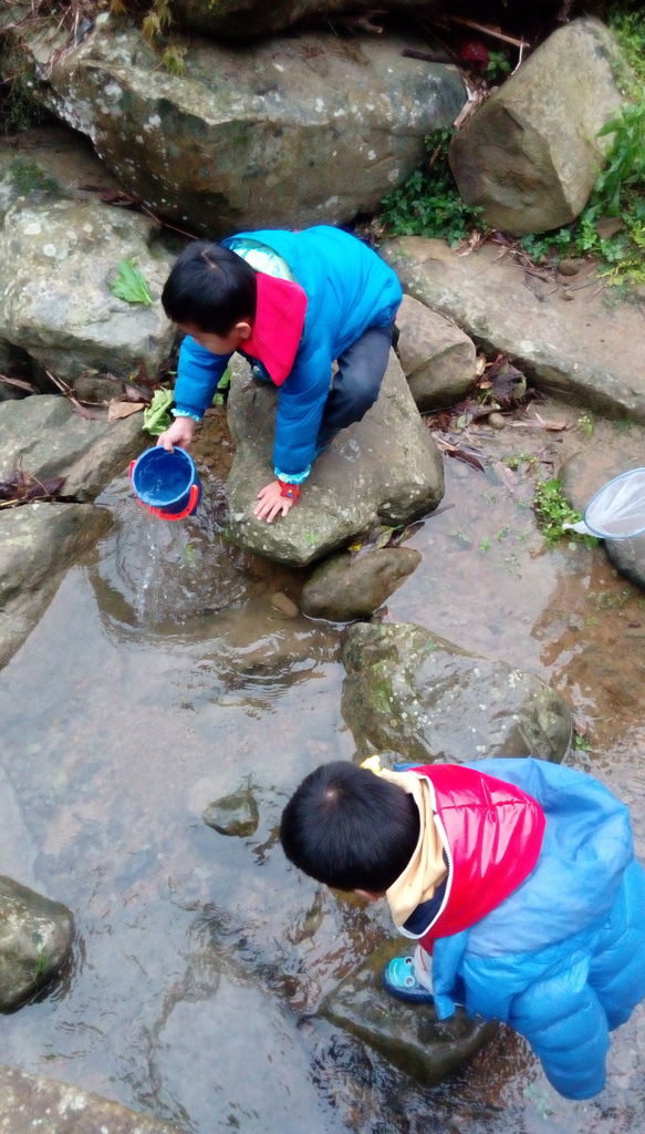 IMAG1439.jpg IMAG1439.jpg