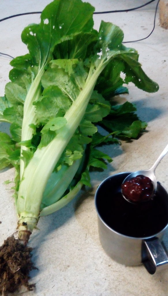 IMAG1477.jpg IMAG1477.jpg