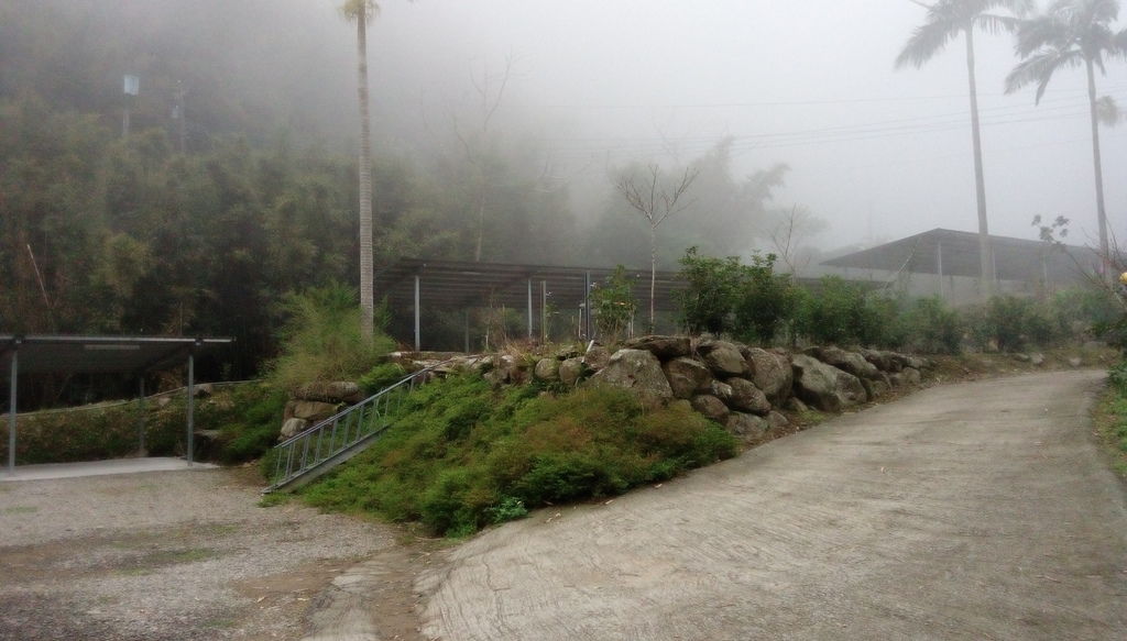 IMAG1507.jpg IMAG1507.jpg