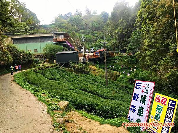 忘憂森林-南投旅遊景點