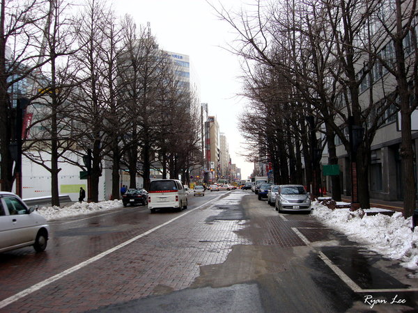 札幌的街道