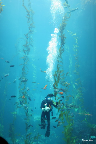 海生館