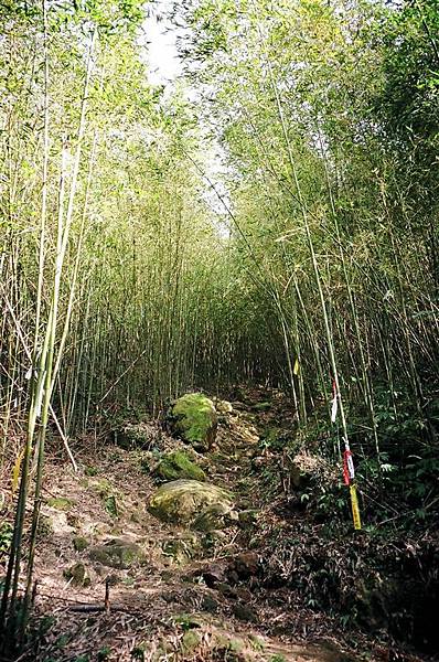 馬那邦山