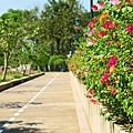 IMG_9642.JPG