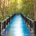 pranburi-forest-park-1.jpg