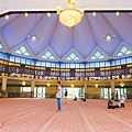 IMG_4101.jpg