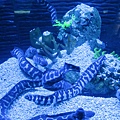 IMG_3785.JPG
