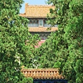 IMG_5965.JPG