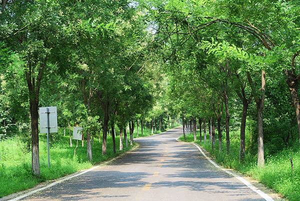 【北京自由行】深度旅遊 走遍明十三陵！神路+定陵+長陵+其他