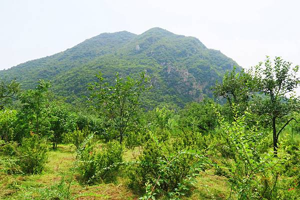 【北京自由行】深度旅遊 走遍明十三陵！神路+定陵+長陵+其他