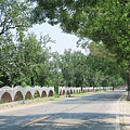 IMG_6220.JPG