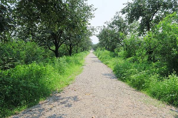 【北京自由行】深度旅遊 走遍明十三陵！神路+定陵+長陵+其他