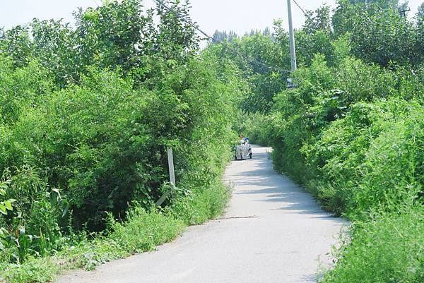 【北京自由行】深度旅遊 走遍明十三陵！神路+定陵+長陵+其他