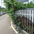 IMG_6345.JPG