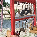 IMG_6367.JPG