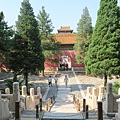 IMG_6389.JPG