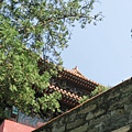 IMG_6426.JPG