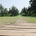 IMG_6273.JPG