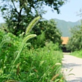 IMG_6287.JPG