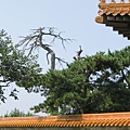 IMG_6276.JPG