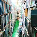 IMG_3231.JPG